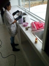 gallery/1387650060555